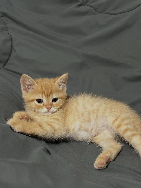 Ну идем уже споть, я же жду тибя в кроватке :3