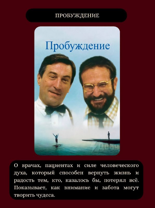 Психологи собрали список фильмов, которые помогают снизить тревогу и прийти в себя
🟠«Она» (2013);
🟠