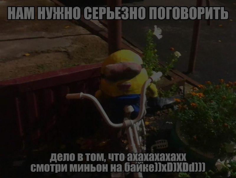 Ночная подборочка
Спать, режим