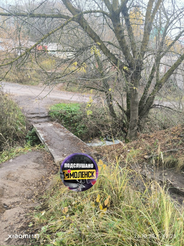 👉В Смоленскую реку Шкляная сливают отходы
В очередн...