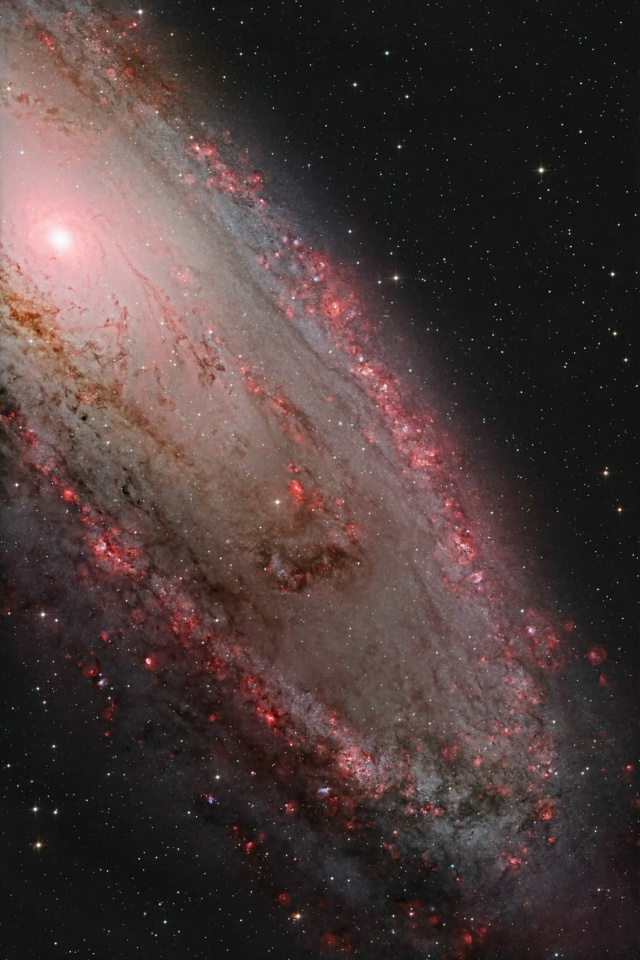 Такую галактику Андромеды вы ещё не видели🌠
Снимок с?...