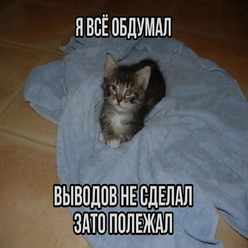 Ночная подборочка
Выходные, не спим