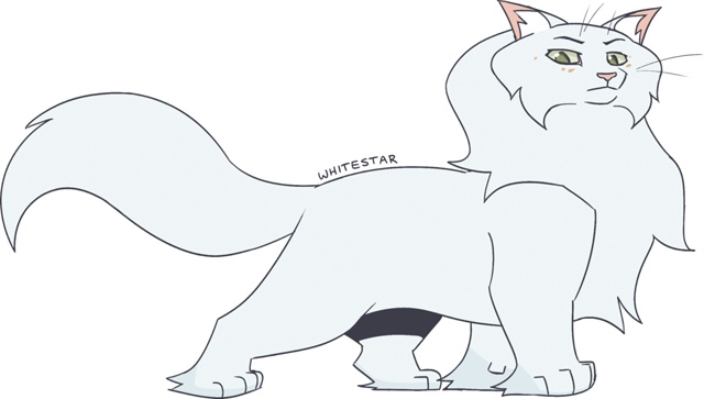 Белая Звезда (БШП)
© Nifty-Senpai
#KV_ZZ_ART