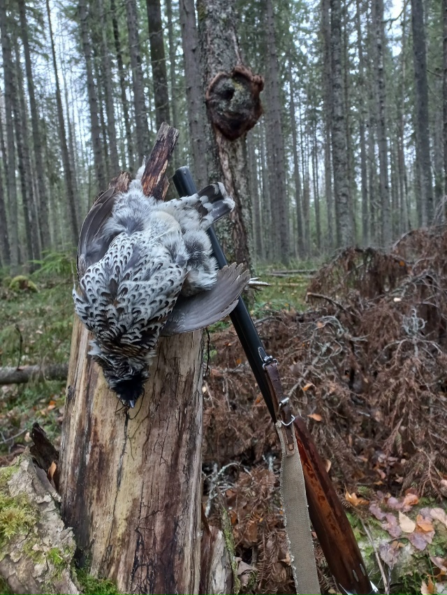 Мой компас азимут назначил:
Шагать на север через лес!
?...