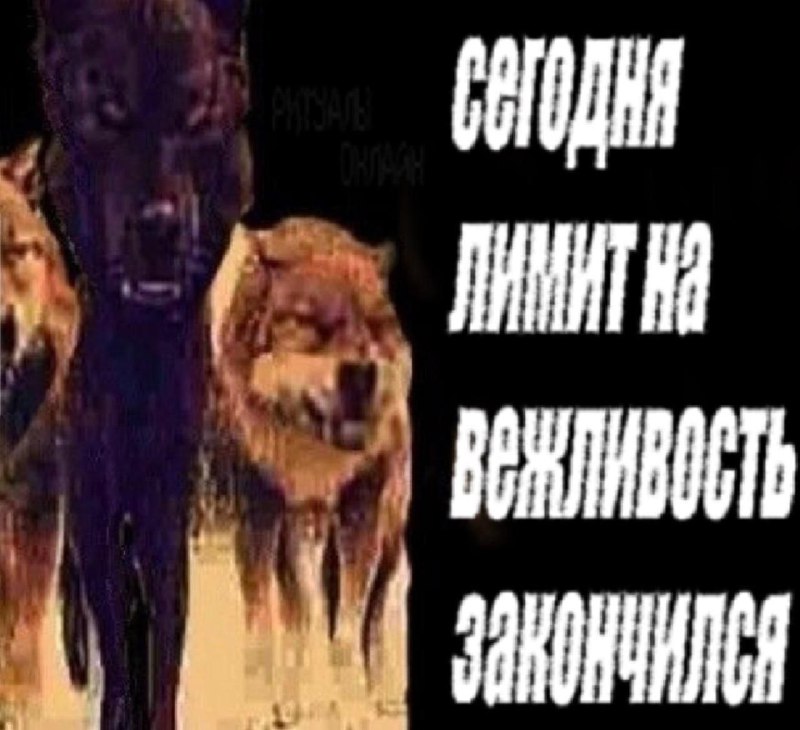 Любая женщина 40+ через 5 секунд после начала рабочего дня, хоть как-то связанного с работой с людьм