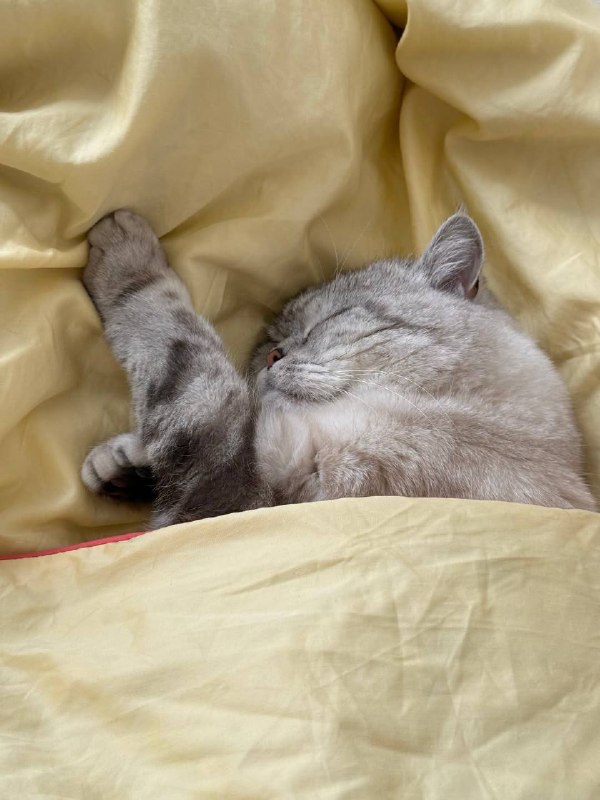 Наконец-то споть :3