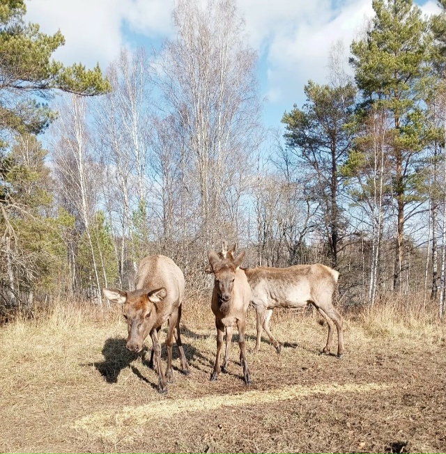 Восторг от встречи с природой в заказнике 