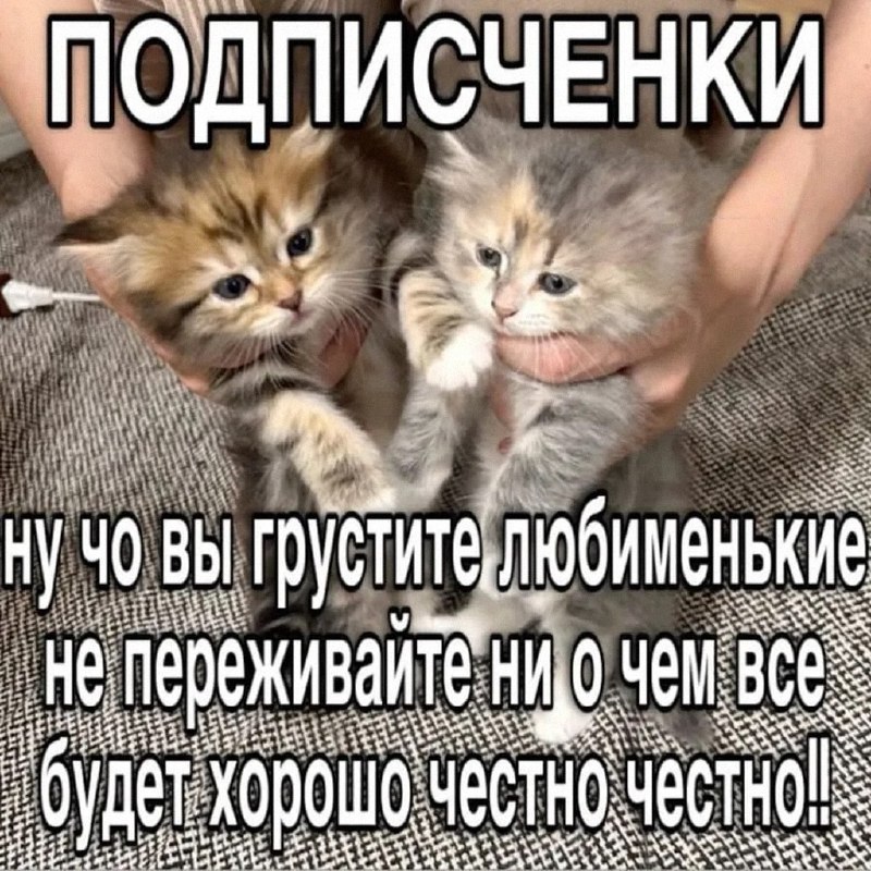 Утренняя подборочка