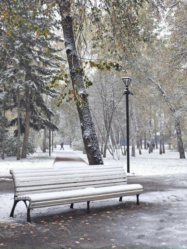 Зимний Ηoвocибиpcк нa фoтoгpaфиях Εкaтepины Πляcкинoй