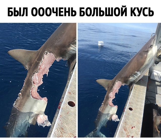 прям очень большой ??