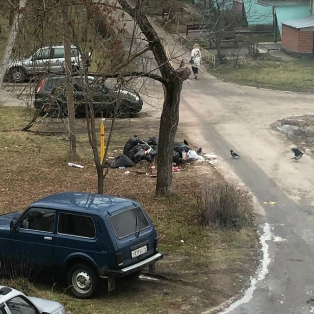 Из-за того, что мусор от уборки территории редко увозят...