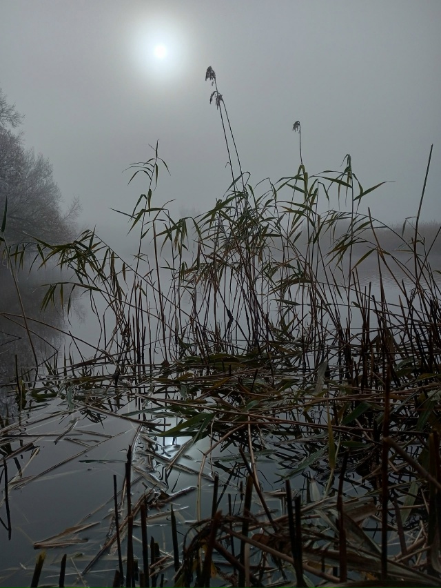 ️Доброе утро! Прогноз погоды на 30 октября
В Оренбурге ...