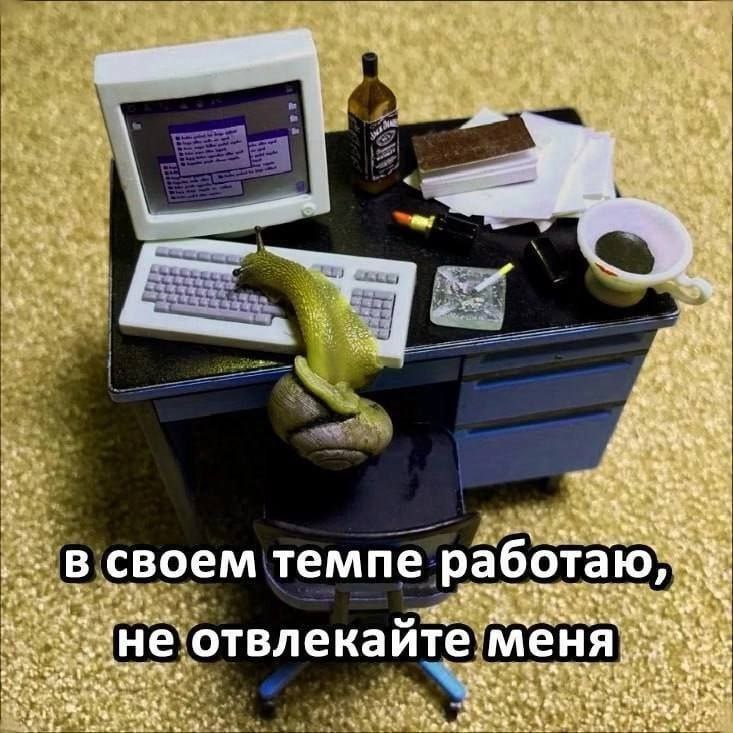 Утренняя подборочка