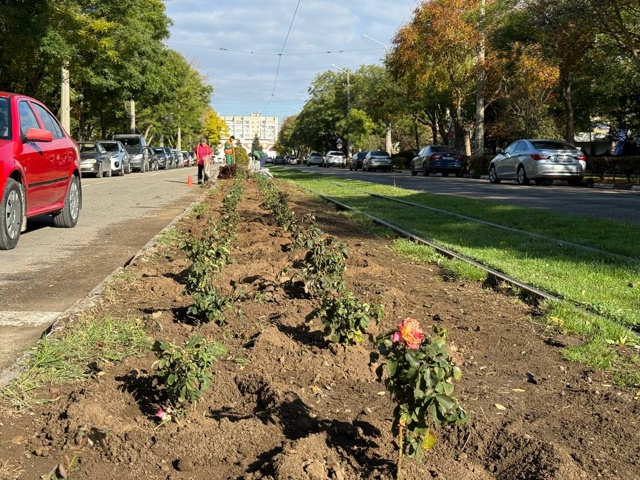 🌹Улица Фрунзе продолжает преображаться.
Озеленители...
