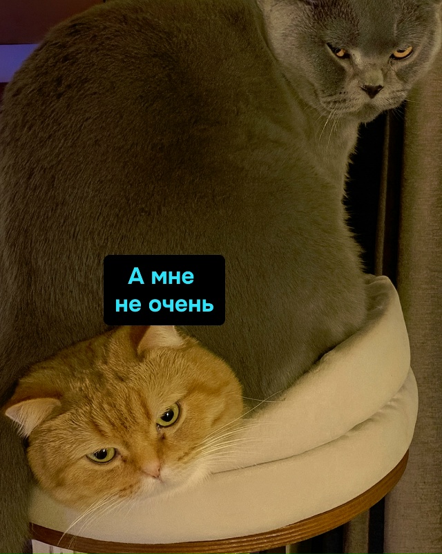 Брак — это компромисс. Ты молчишь, а она делает, как хоч...