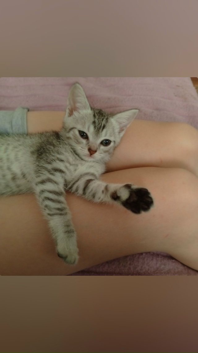 [id152857162|Светлана Сусанина]