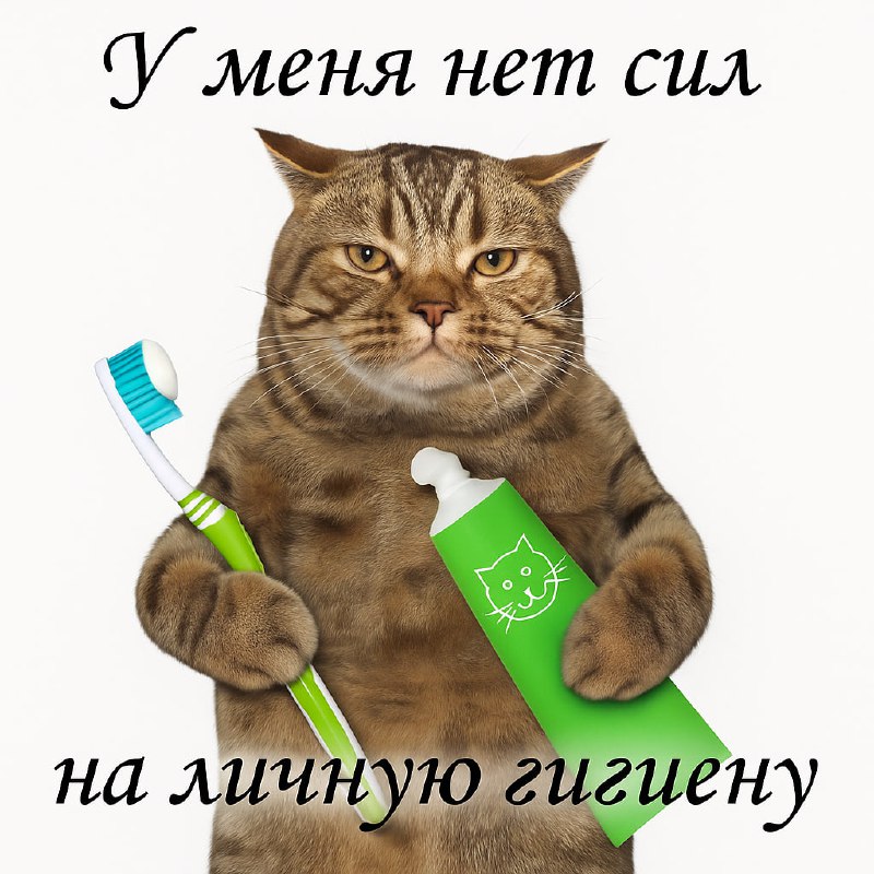 Утренняя подборочка