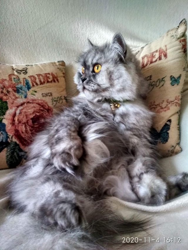 Макс