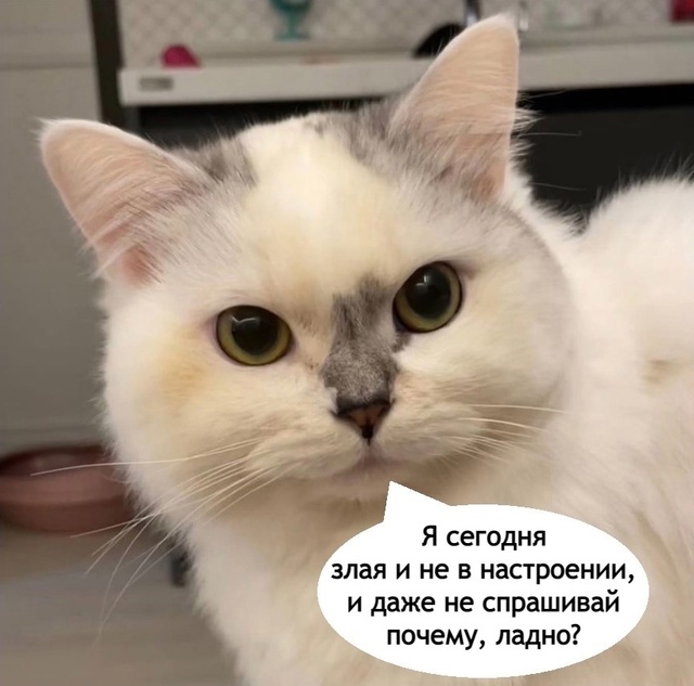 Семейное