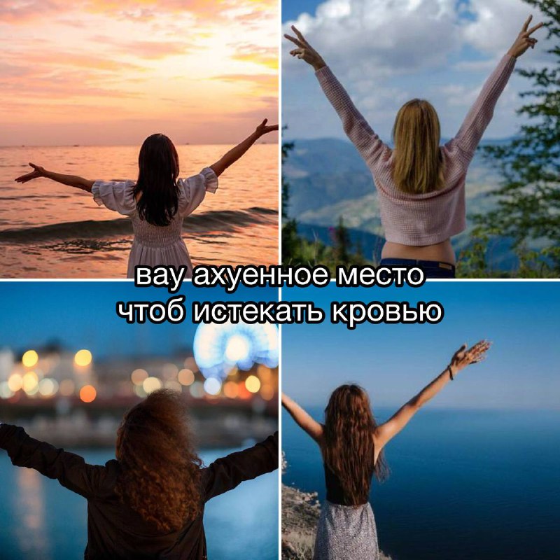 мой организм в любых путешествиях (ну хоть билеты дешевые с авиасейлс, уже неплохо)