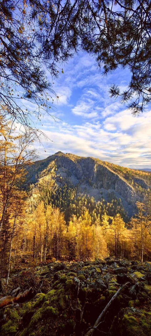 ❤Айгир могут сделать охраняемой природной зоной.
Поп...