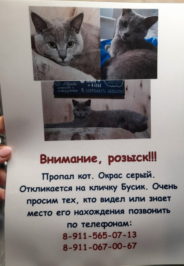 Очень надеемся найти нашего Бусю🙏
Район Лесозавода.