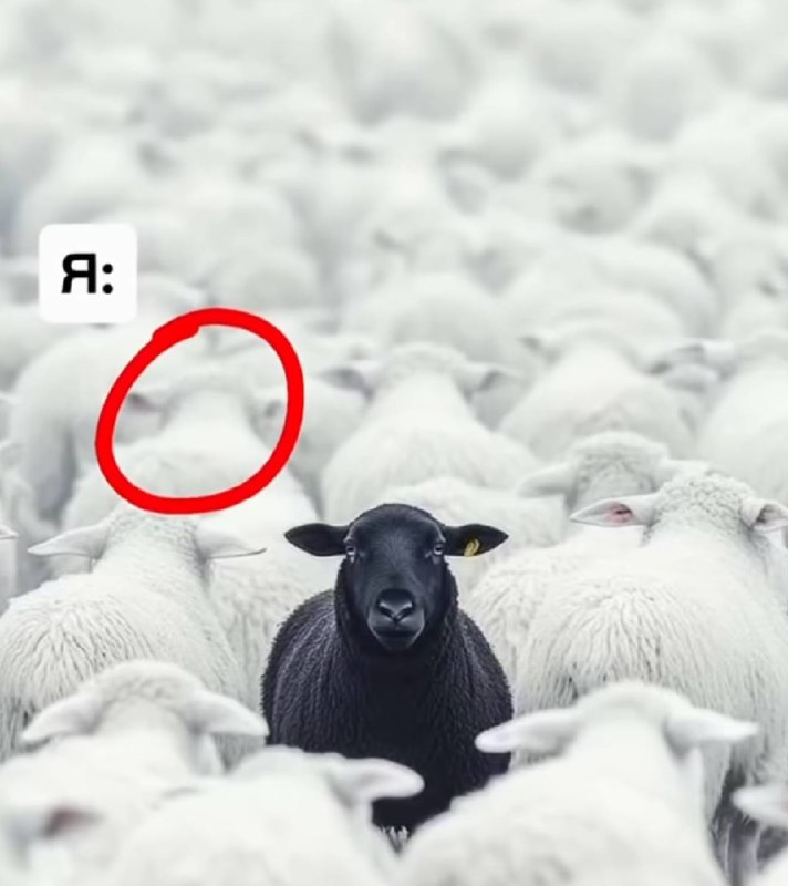 кругом все такие ленивые, меркантильные и нарциссичные
я среди всех: