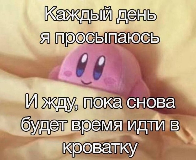 Утренняя подборочка