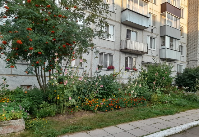 Прекрасный вечерний вид для глаз!!!⚘️🌼🌸🌷