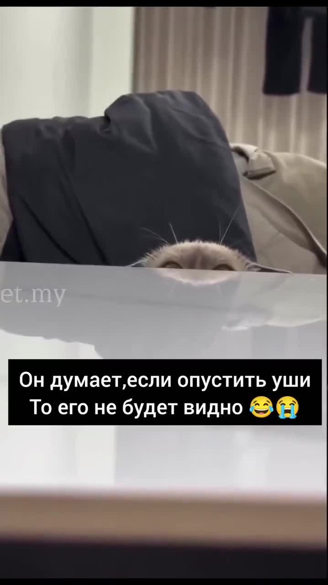 Как забавно он скрывается, давай его не огорчать.