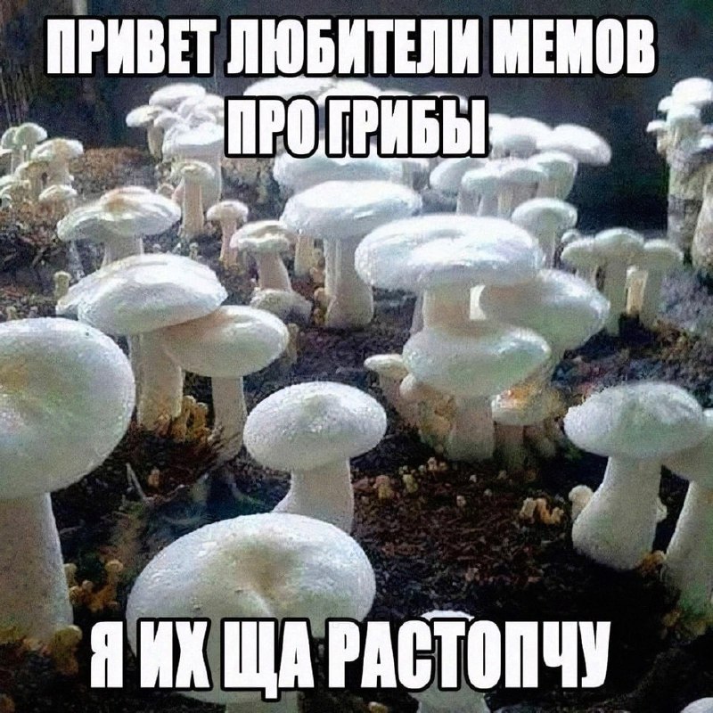 Утренняя подборочка