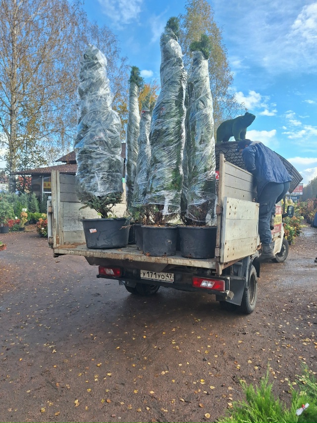 🚚 ГРУЗОПЕРЕВОЗКИ↔️ОТКРЫТЫЙ БОРТ↔️САМОСВАЛ.
✅️ ДО?...