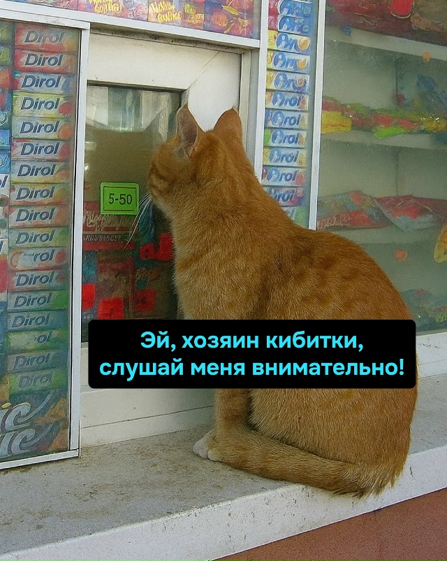 Новая схема вымогательства: пушистое лицо, когти и жел?...