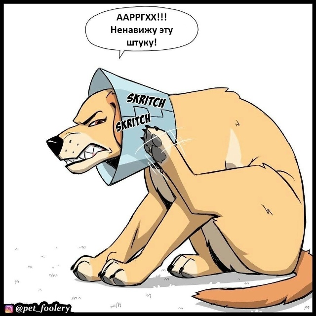 А чесаться так и хочется