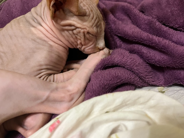 Самый всратый Лютик 🤨