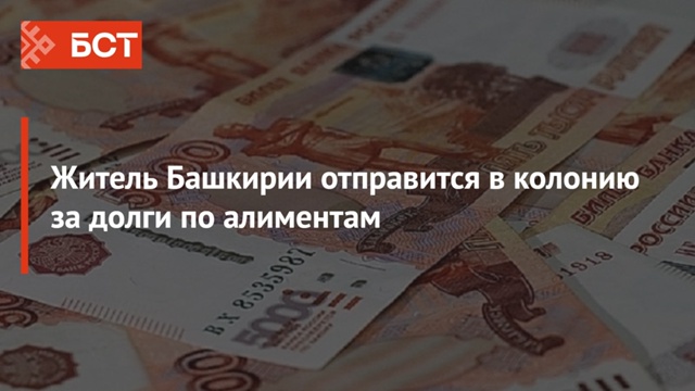 Житель Башкирии отправится в колонию за долги по алиме...