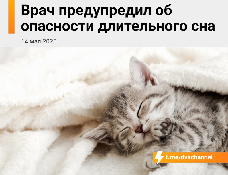 Сон больше 10 часов В С Ё: если спать больше 10 часов в сутки — можно умереть от инсульта, рассказал
