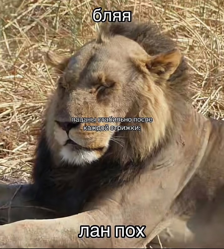 Парни, мы?