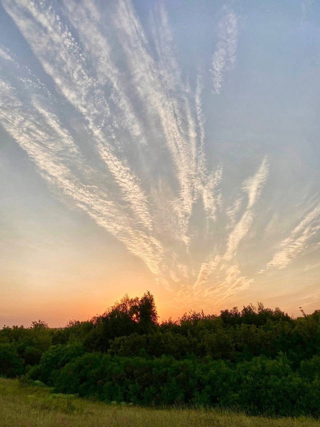 Фото от подписчиков 📸