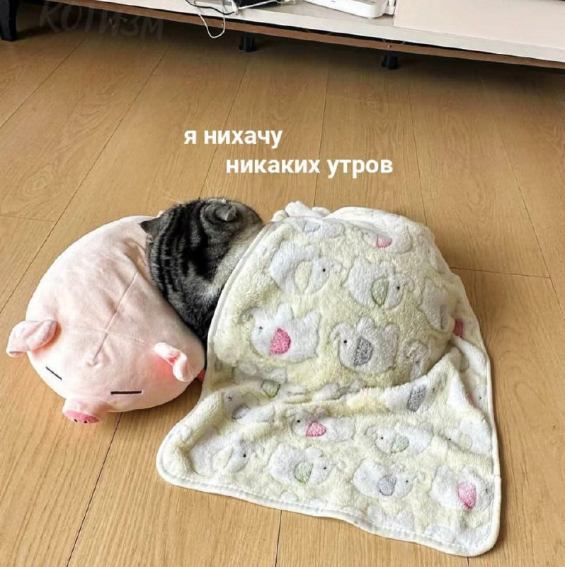 Утренняя подборочка