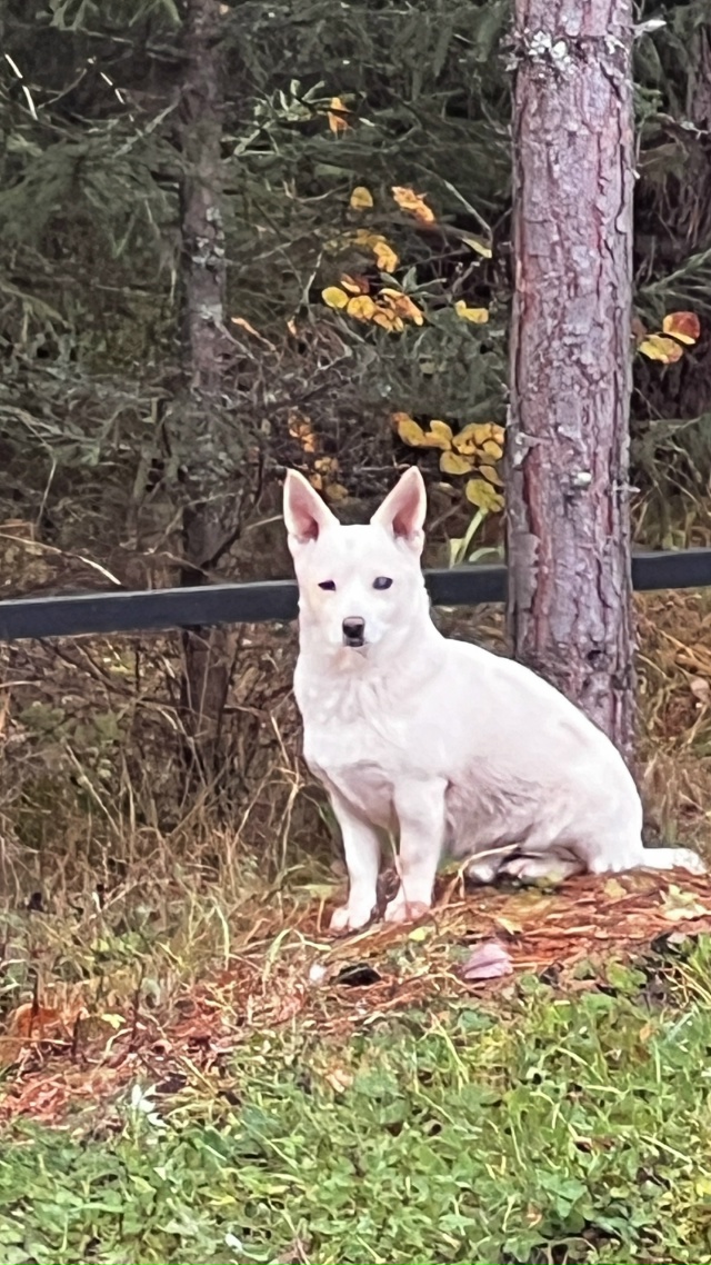 Ежедневно в 21 час по местному времени Ваши вопросы.
1⃣ ...