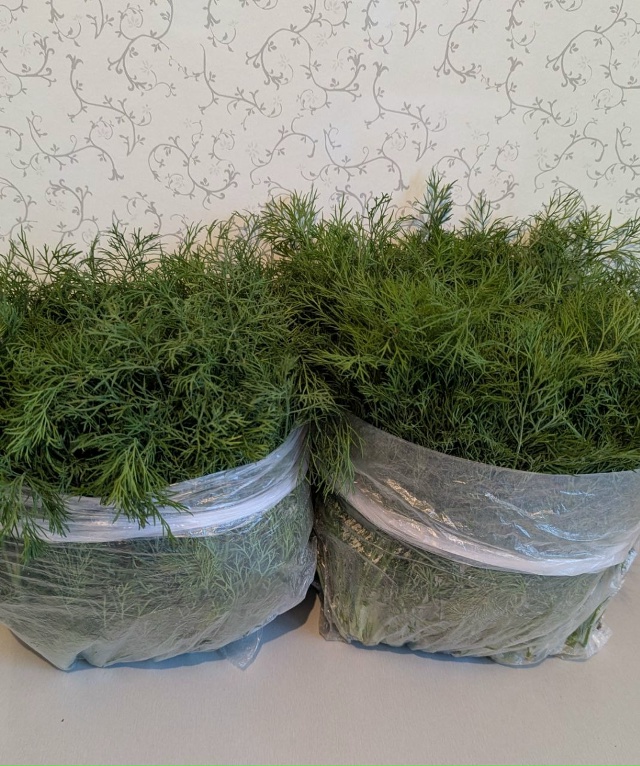 🍅 1500+ жителей города в чате Фермеры Садоводы Салавата....