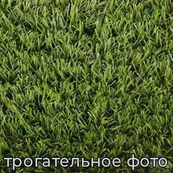 Ночная подборочка
Спать, режим