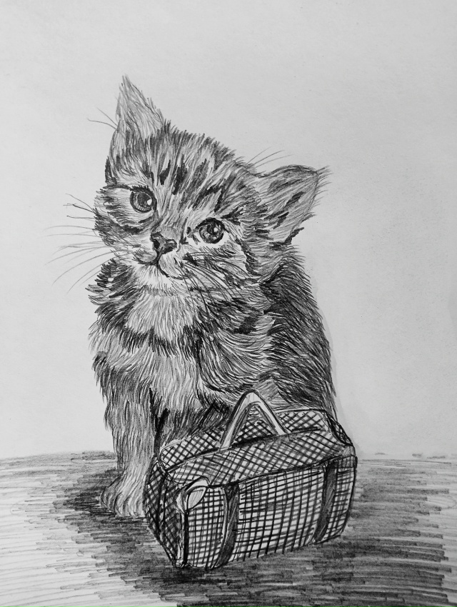 Маленький гость...
Простой карандаш📝