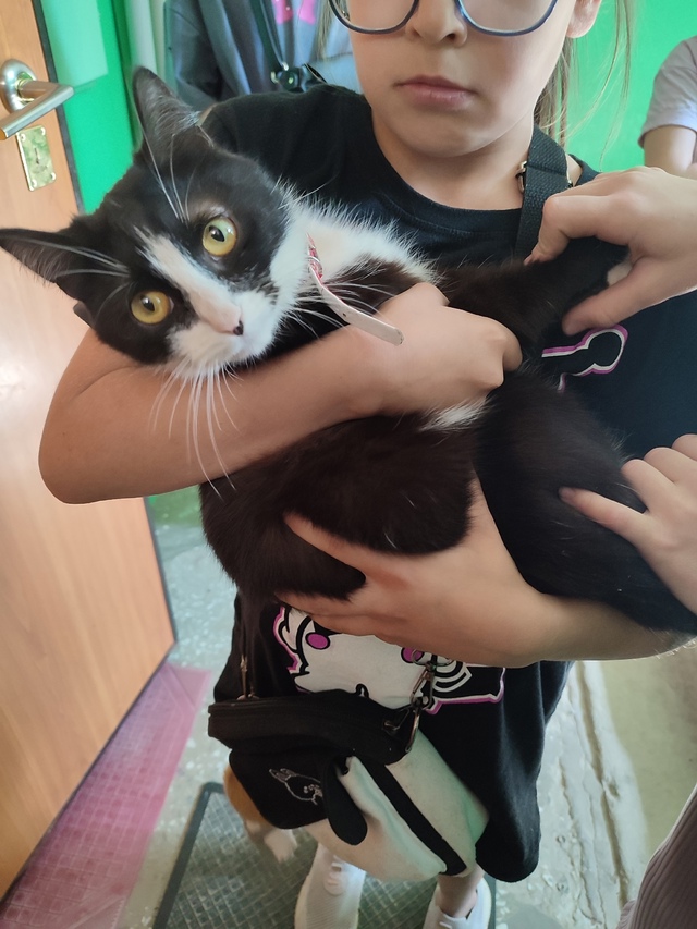 Ежедневно в 21 час по местному времени Ваши вопросы.
1⃣ ...