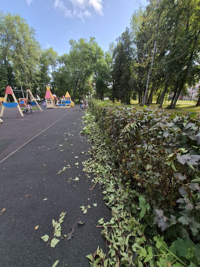 🌳“Красота требует заботы”: мэр Салавата о городском ...