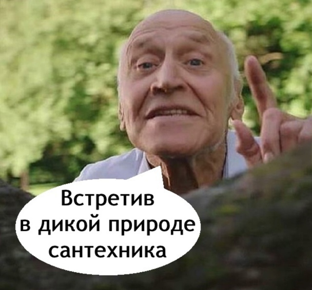 Природа так удивительна порой