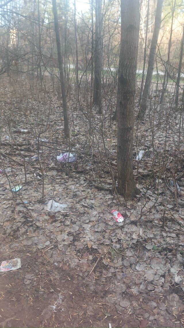 Вот такое безобразие годами не убирается