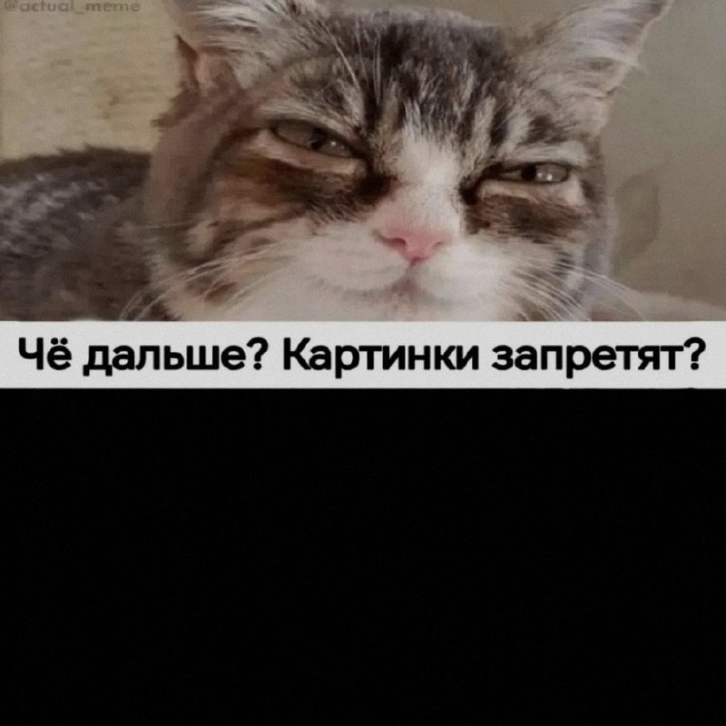 Ночная подборочка
Спать, режим