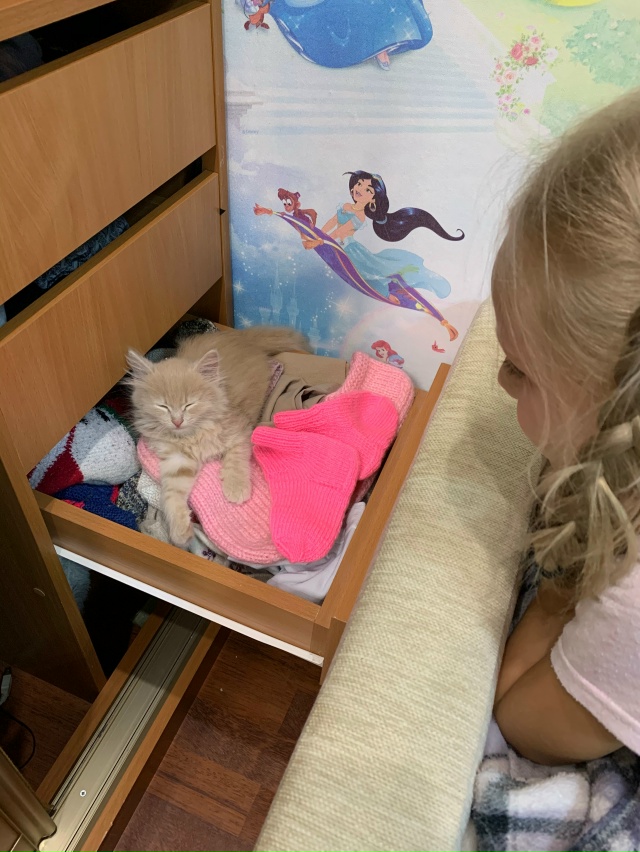 Моменты
Взросления Томасика